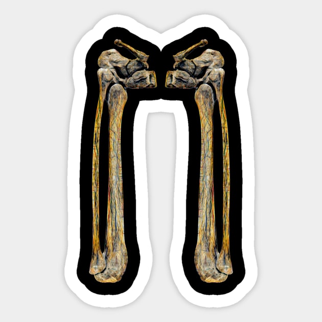 Leg Bones One Step Sticker by crunchysqueak